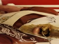 shitpig spoon fed